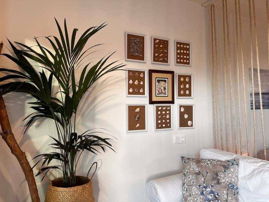 San Marcos  Ocean Dream Apartments - Lovely Sea View Studio Apartment 5Min From Beach מראה חיצוני תמונה
